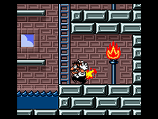 Wario Land 3