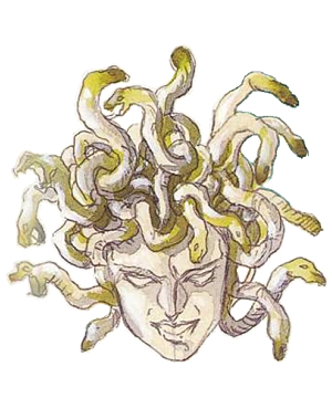 Medusa Head