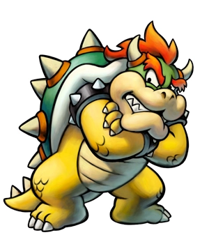 Bowser Bowser