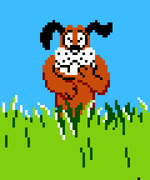 Duck Hunt Dog