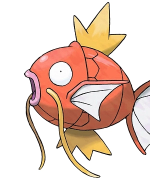 Magikarp Magikarp