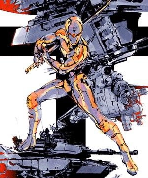 Gray Fox Gray Fox