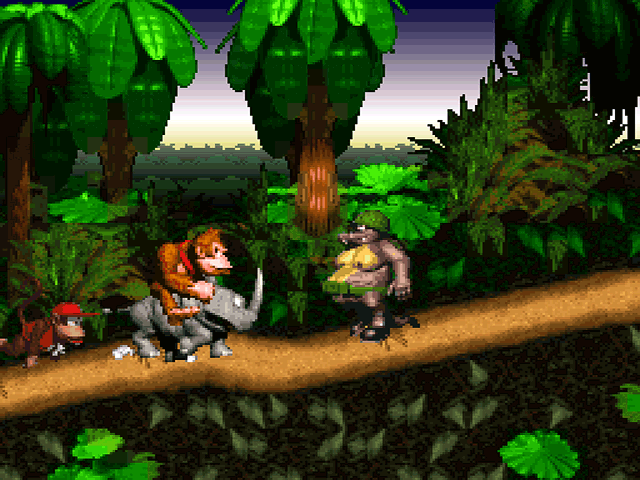 Donkey Kong Country