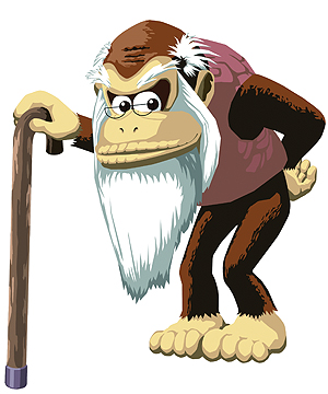 Cranky Kong