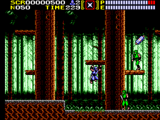 Ninja Gaiden