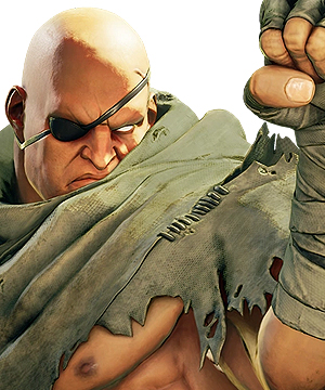 Sagat