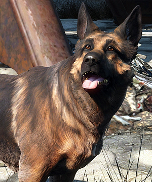 Dogmeat