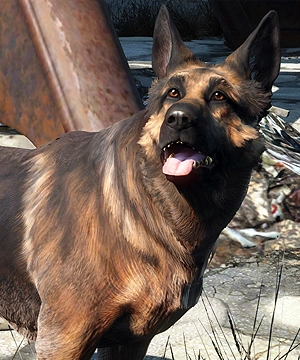 Dogmeat Dogmeat