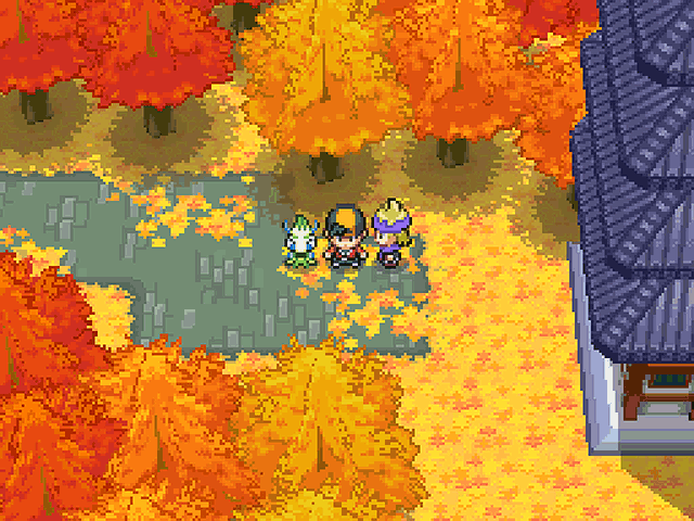 Fighters Megamix Pokémon HGSS