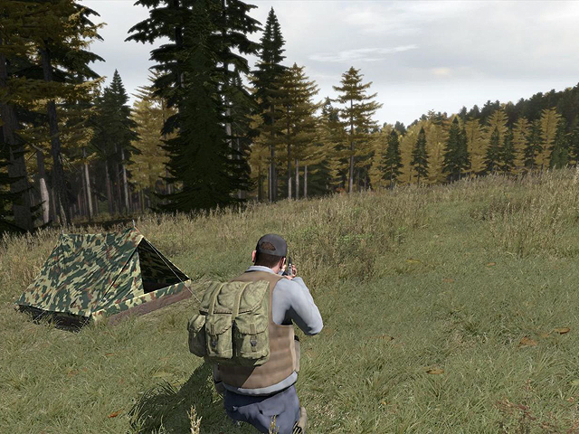 DayZ