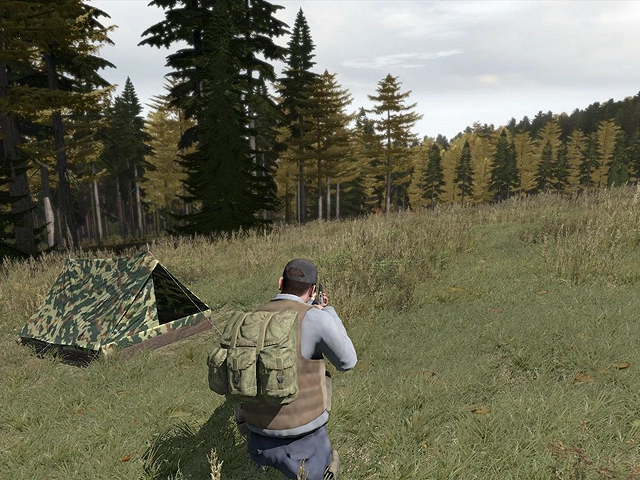 DayZ DayZ