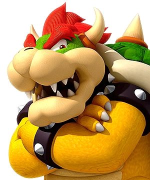 Bowser Bowser
