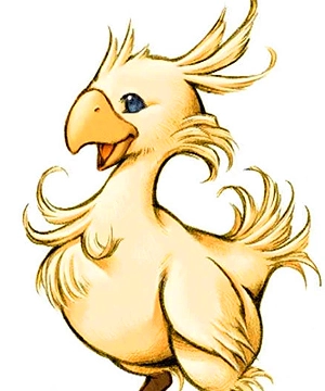 Chocobo Chocobo