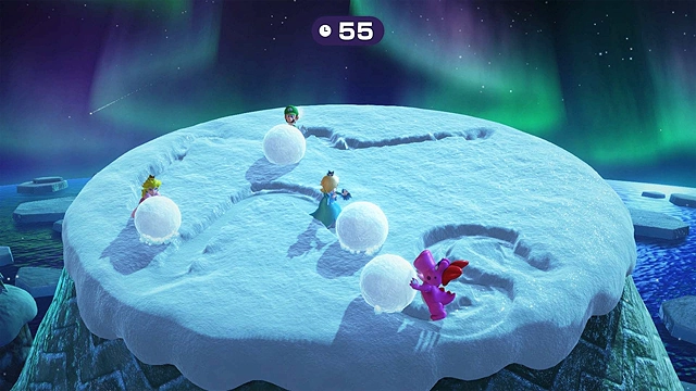 Snowball Summit
