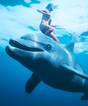 Hallucinatory Dolphin