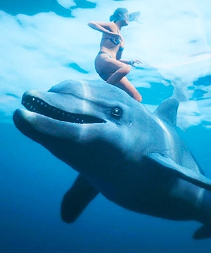 Hallucinatory Dolphin Hallucinatory Dolphin
