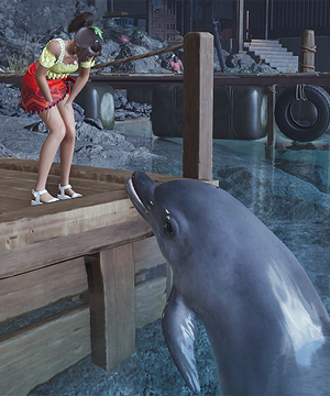 Mr. Dolphin