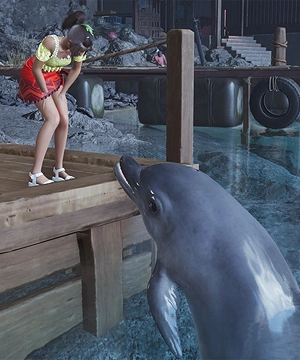Mr. Dolphin Mr. Dolphin