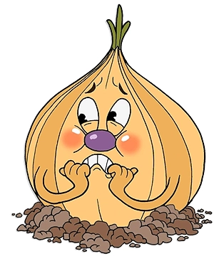 Ollie Bulb