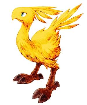 Chocobos Chocobos
