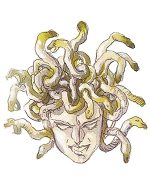 Medusa Head Medusa Head