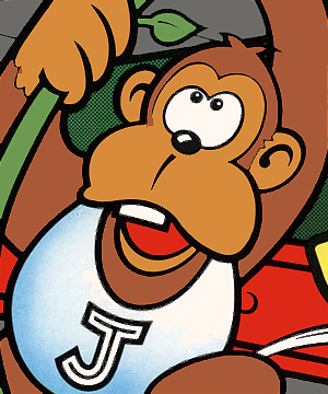 Donkey Kong Jr.