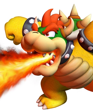 Bowser Bowser