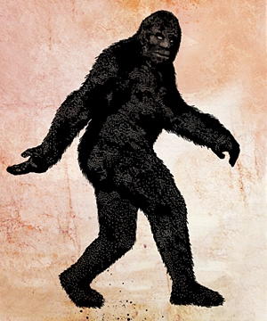 Sasquatch Sasquatch